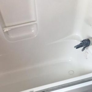 Reglazing Services