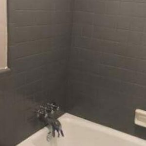 Ceramic Tile Refinish